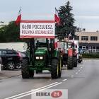 Fotka nr 5 z 13