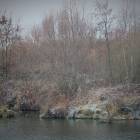 Fotka nr 1 z 16