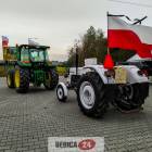 Fotka nr 2 z 13