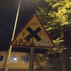 Fotka nr 5 z 9