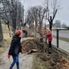 zdjęcie nr 7