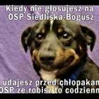 Fotka nr 0 z 6