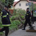zdjęcie nr 14