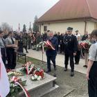 zdjęcie nr 17