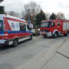 Fotka nr 2 z 4