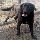Fotka nr 1 z 4