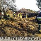 Fotka nr 5 z 12