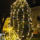 zdjęcie nr 8