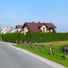 zdjęcie nr 46