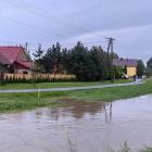 zdjęcie nr 17