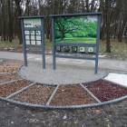 zdjęcie nr 31