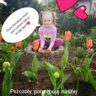 Fotka nr 1 z 20
