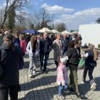 zdjęcie nr 35