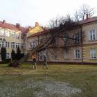 Fotka nr 2 z 7