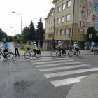 zdjęcie nr 51