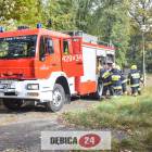 zdjęcie nr 27