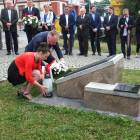 zdjęcie nr 20