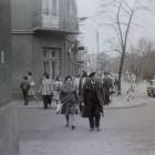 zdjęcie nr 31