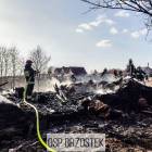 zdjęcie nr 9