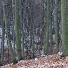 zdjęcie nr 8