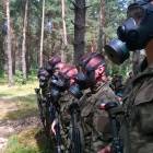 Fotka nr 2 z 15