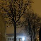 zdjęcie nr 25