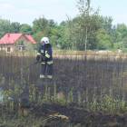 zdjęcie nr 12
