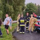 Fotka nr 4 z 13