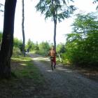 zdjęcie nr 10