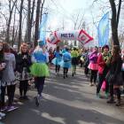 zdjęcie nr 24