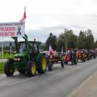 zdjęcie nr 18