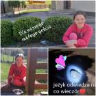 zdjęcie nr 8