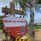 zdjęcie nr 33