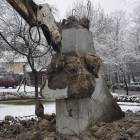 zdjęcie nr 14