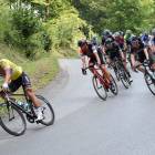 Peter Sagan w Tour de Pologne