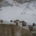 Fot. Adrian Janiga.