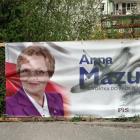 Fotka nr 3 z 6