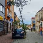zdjęcie nr 38