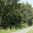 zdjęcie nr 23