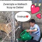 Fotka nr 3 z 20