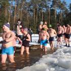 zdjęcie nr 14