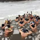 zdjęcie nr 10