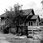 zdjęcie nr 9