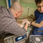 Fot. Ośrodek Rehabilitacji Zwierząt Chronionych w Przemyślu.