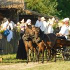 zdjęcie nr 22