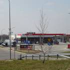 Fotka nr 2 z 4