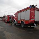 Fotka nr 4 z 14