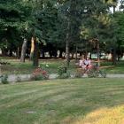 zdjęcie nr 7