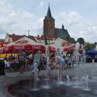 zdjęcie nr 14