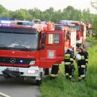 Fotka nr 4 z 12